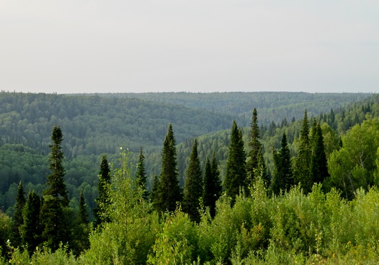 IMG_3771_lr