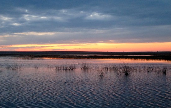 Озеро Сарыколь на закате
